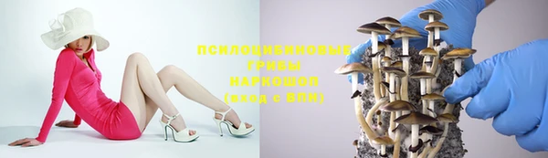 дживик Балахна
