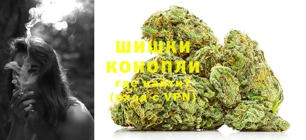 дживик Балахна