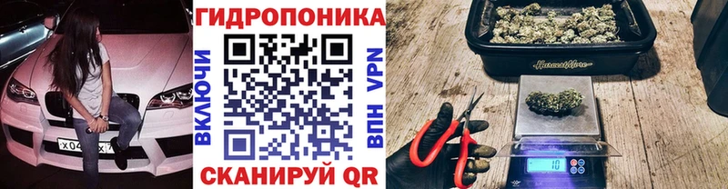 Бошки марихуана ГИДРОПОН Тюкалинск